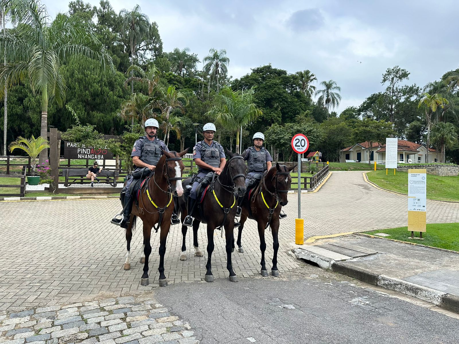 Parque da Cidade recebe visita da Cavalaria da Polícia Militar Vale